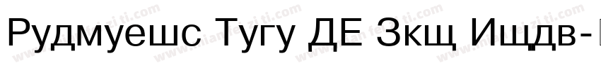 Helvetic Neue LT Pro Bold字体转换